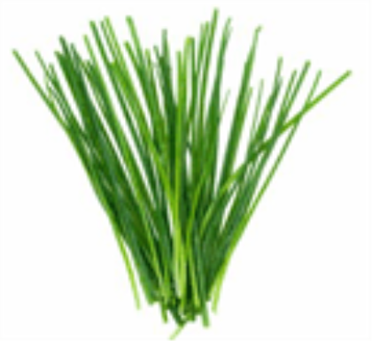 Chives