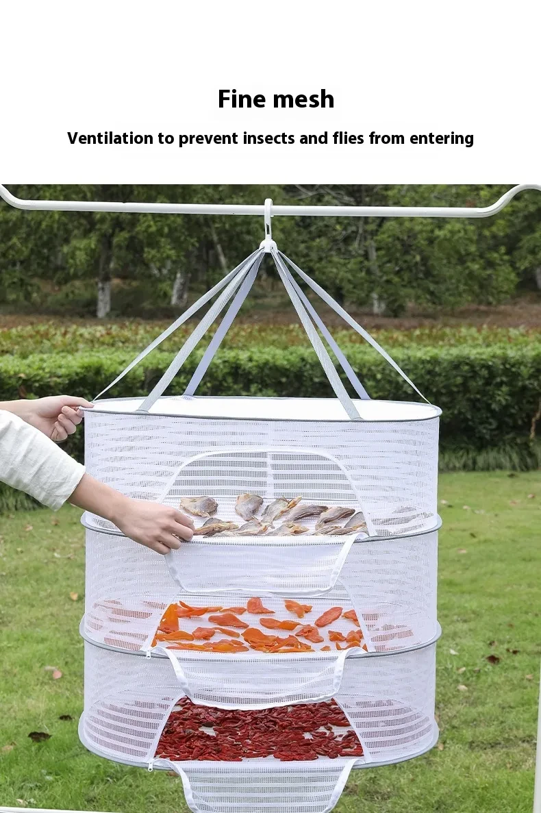 Freeze Drying Machine