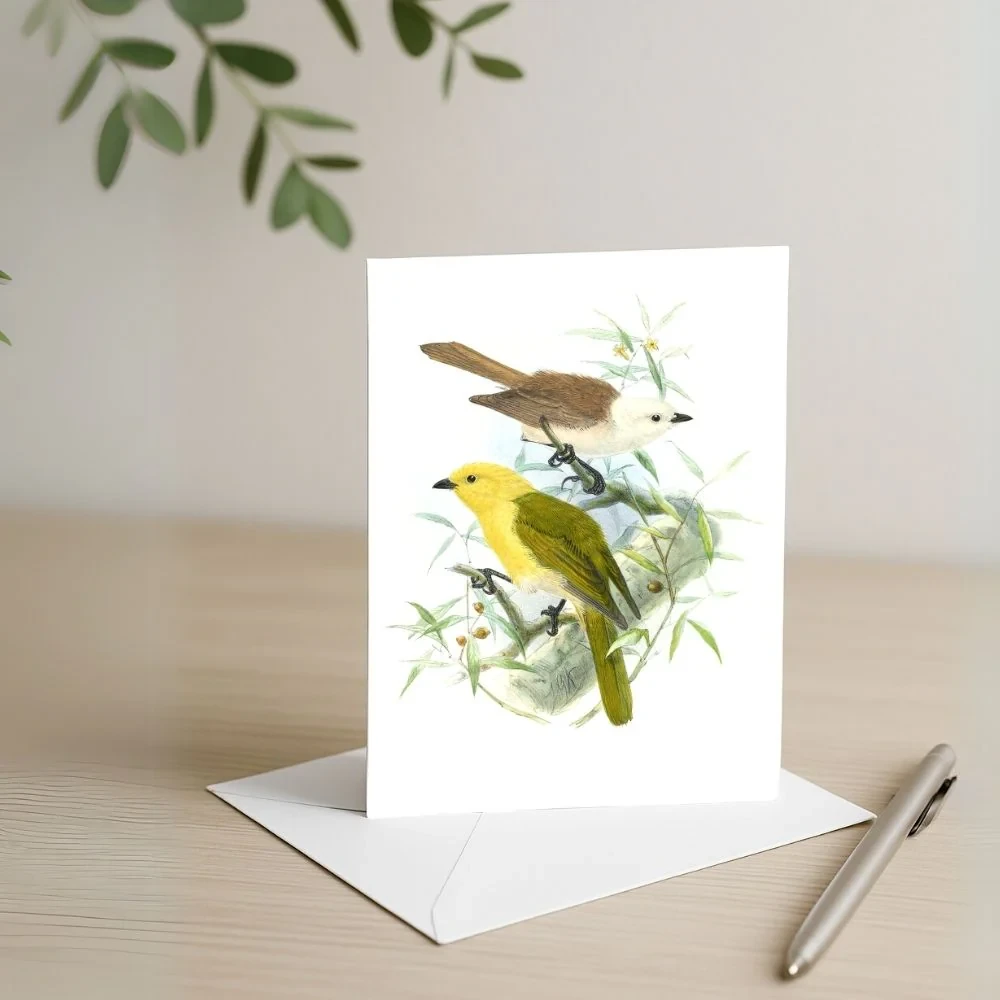 Johannes Keulemans - Card - Yellowhead - Mohua and Whitehead - Popokotea