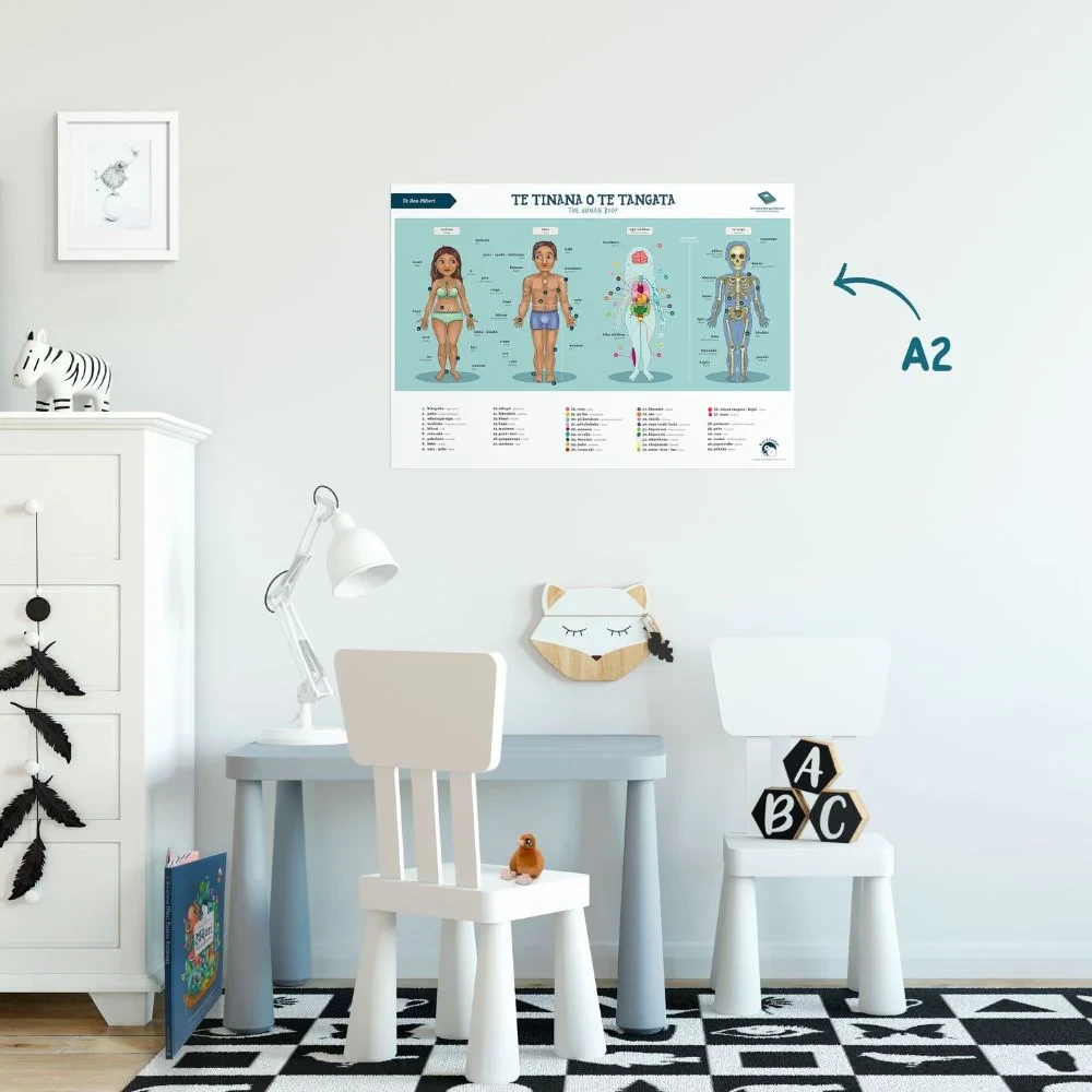 Poster A2 - Human Body - Te Reo Mori