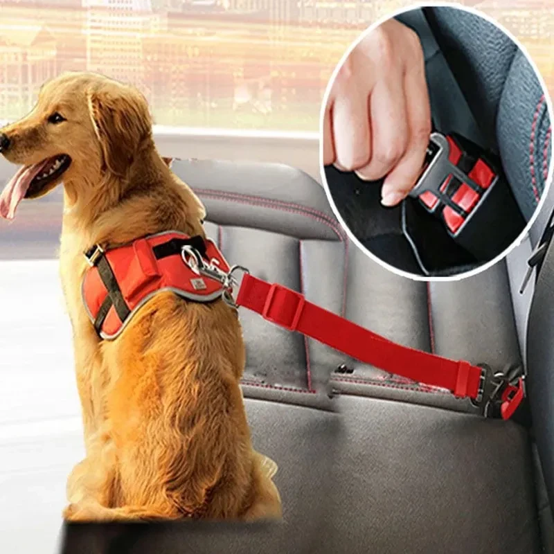 Dog Harness For Car