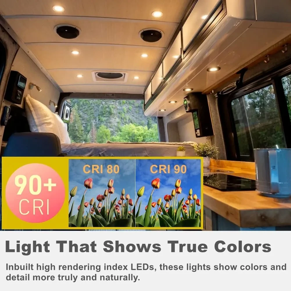 12 Volt Automotive Light Bulbs