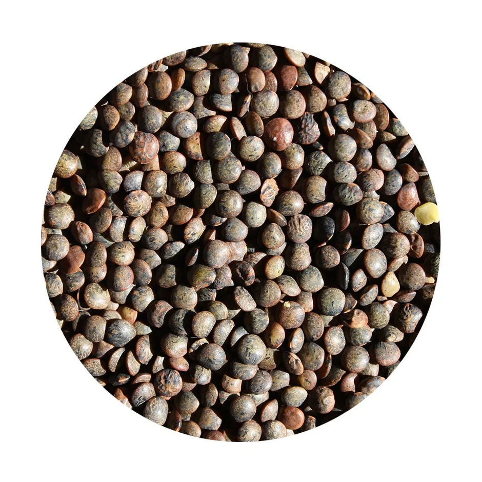Lentils French Green 500g