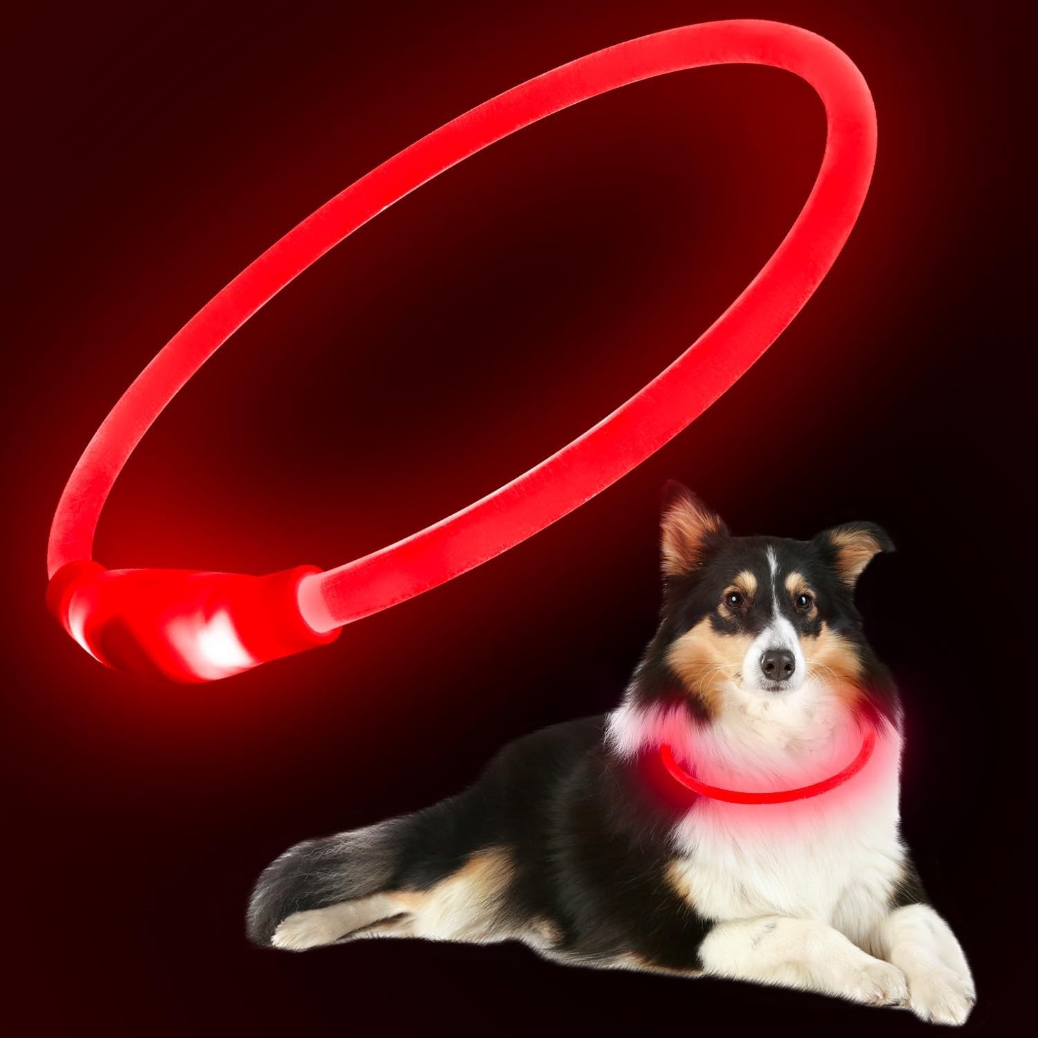 Glowing Dog Collar