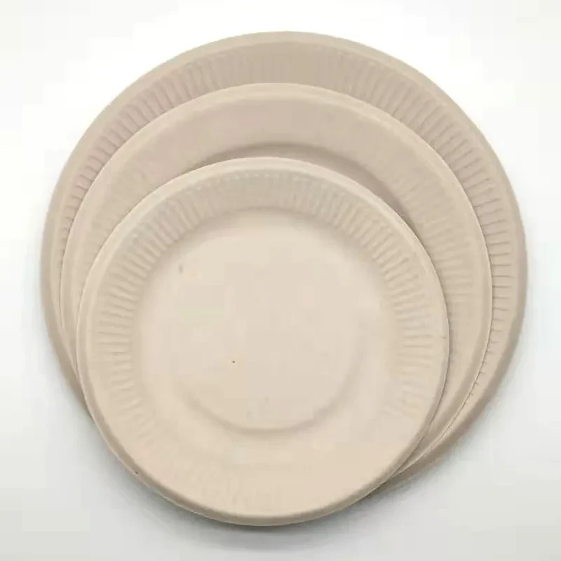 Compartment Disposable Plates