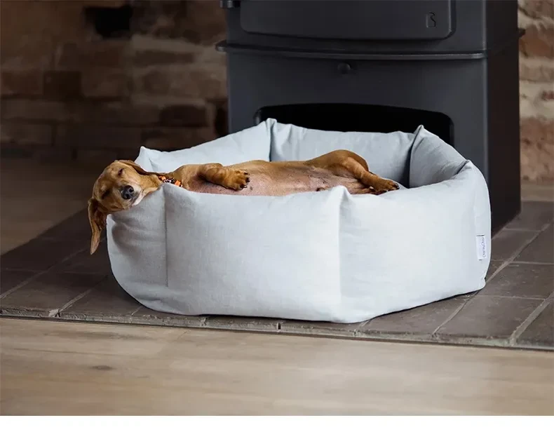 Dog Bean Bag
