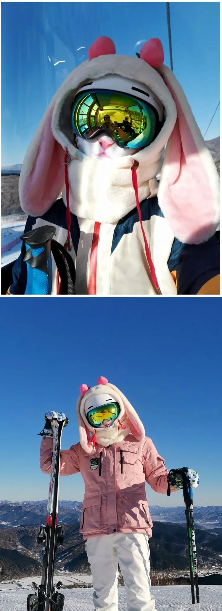 Ski Head Cover Face Mask Ski Helmet Cover Decorative Ears