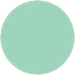 Paper Plates 23cm Round 20ct Cool Mint (Pack Of 20)
