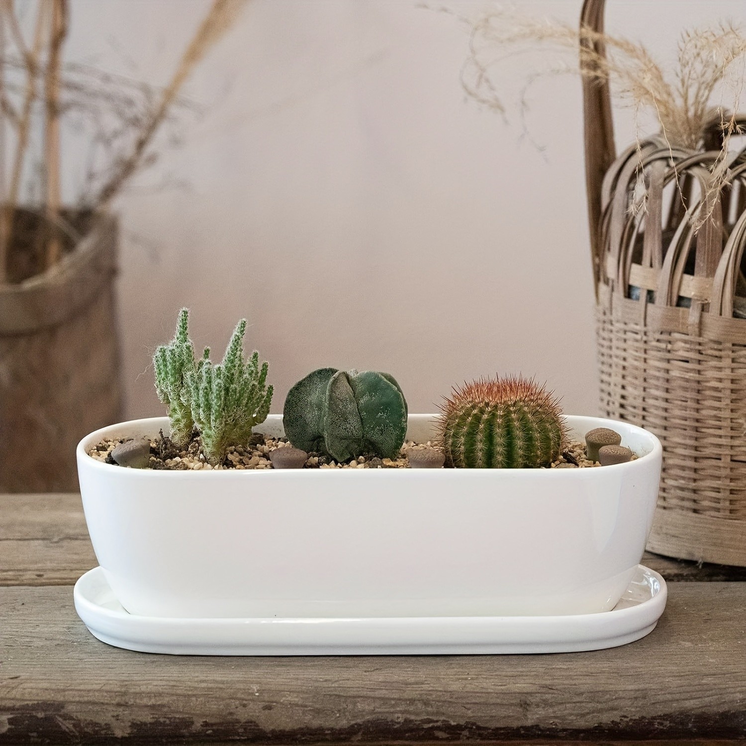 CEEFU Oval Ceramic Planter Pot with Drainage & Saucer  Modern Indoor/Outdoor Pot for Succulents, Herbs & Cactus