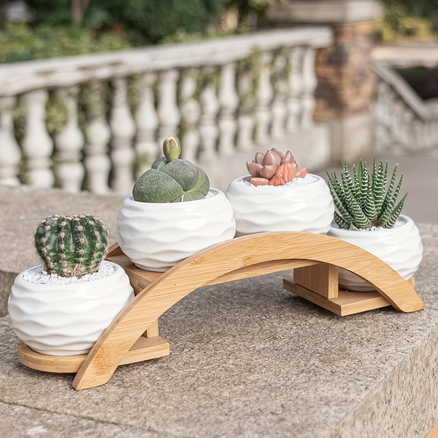CEEFU 4-Pot Ceramic Succulent Planter Set with Stand Modern White Ripple-Texture Pots with Drainage for Indoor & Outdoor Plants