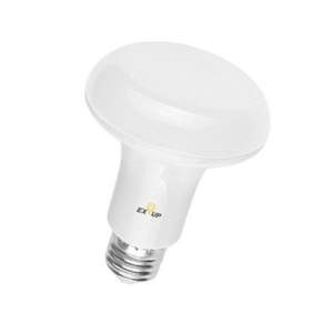 LED Light Bulb