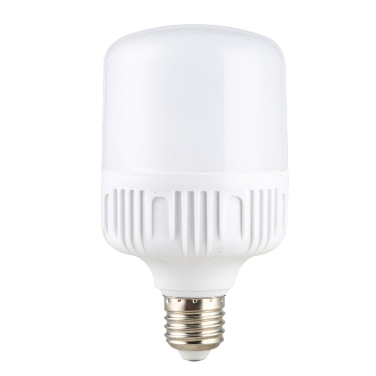 LED Light Bulb White