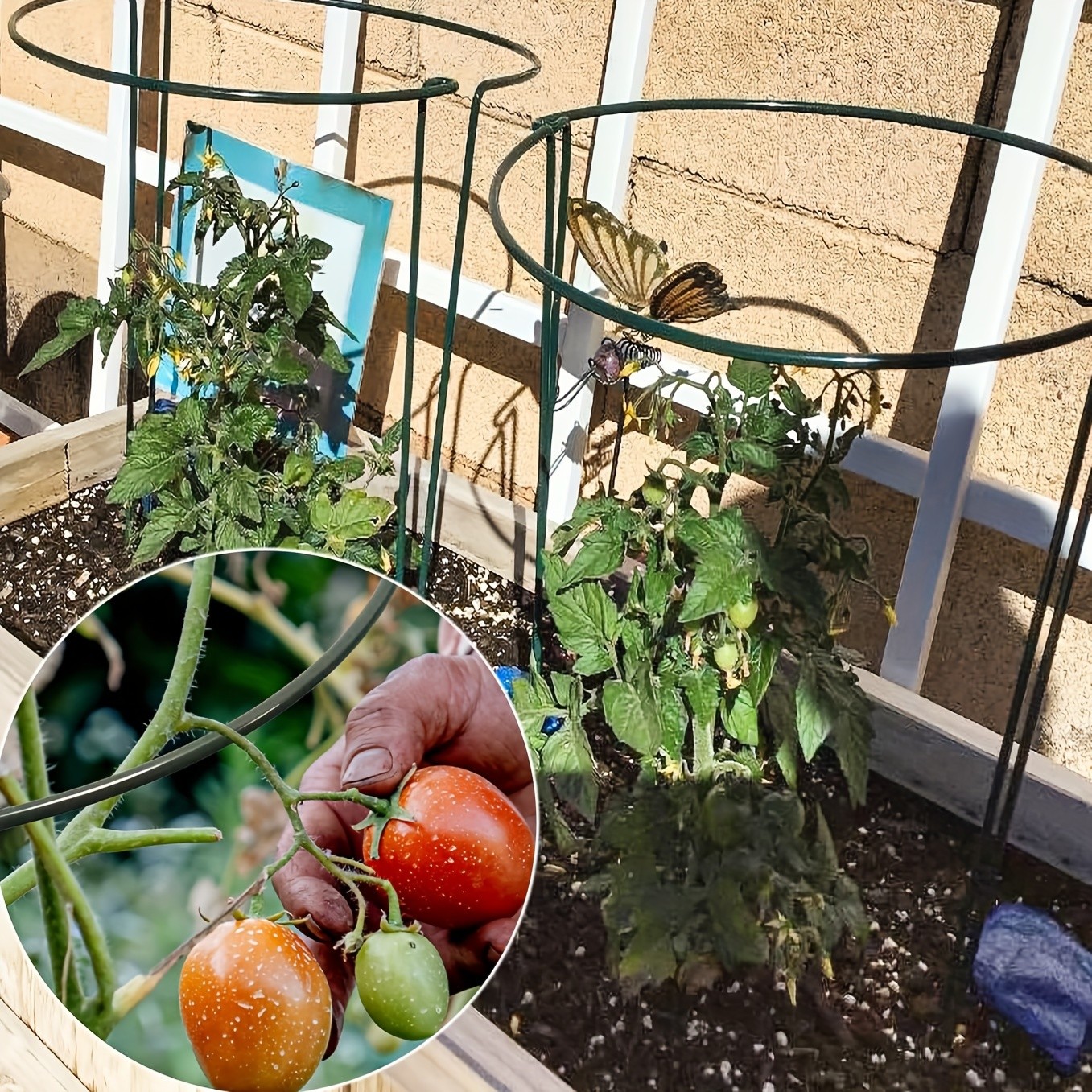 GMMLAIJH 10 Pack Plant Support Stakes for Peony