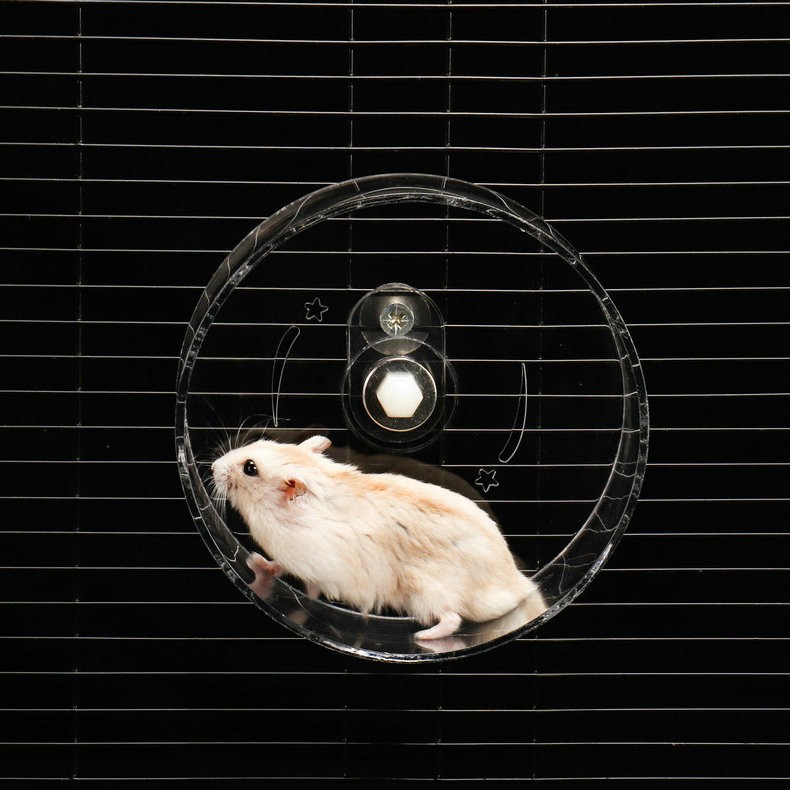 Hamster Wheel