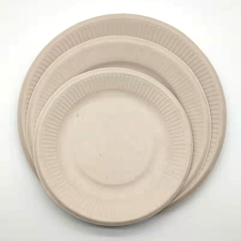 Disposable Paper Plates