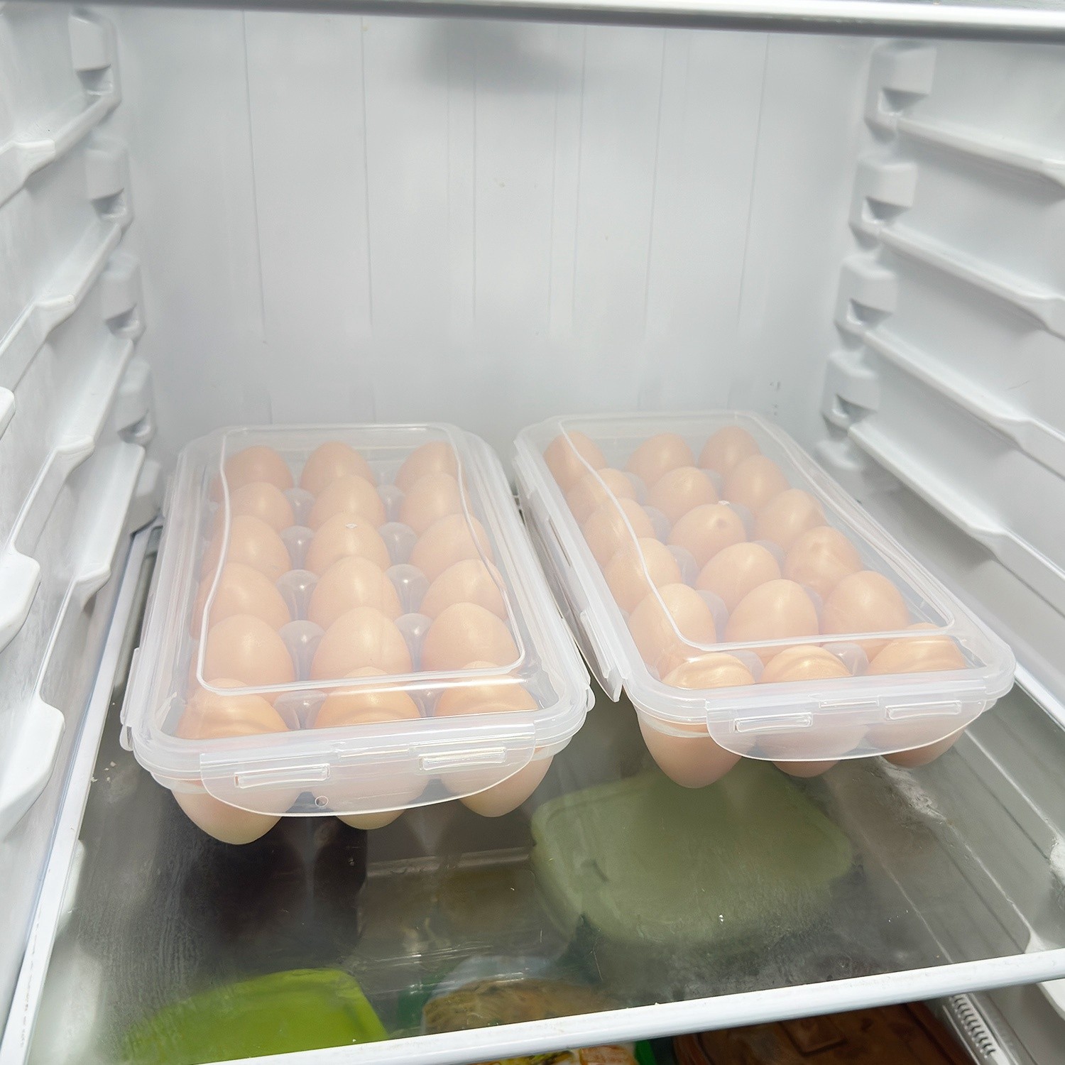 Plastic Egg Container