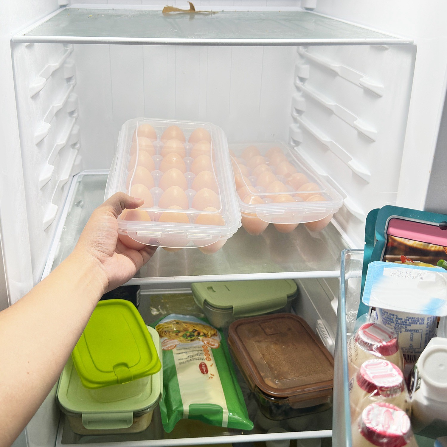 Plastic Egg Container