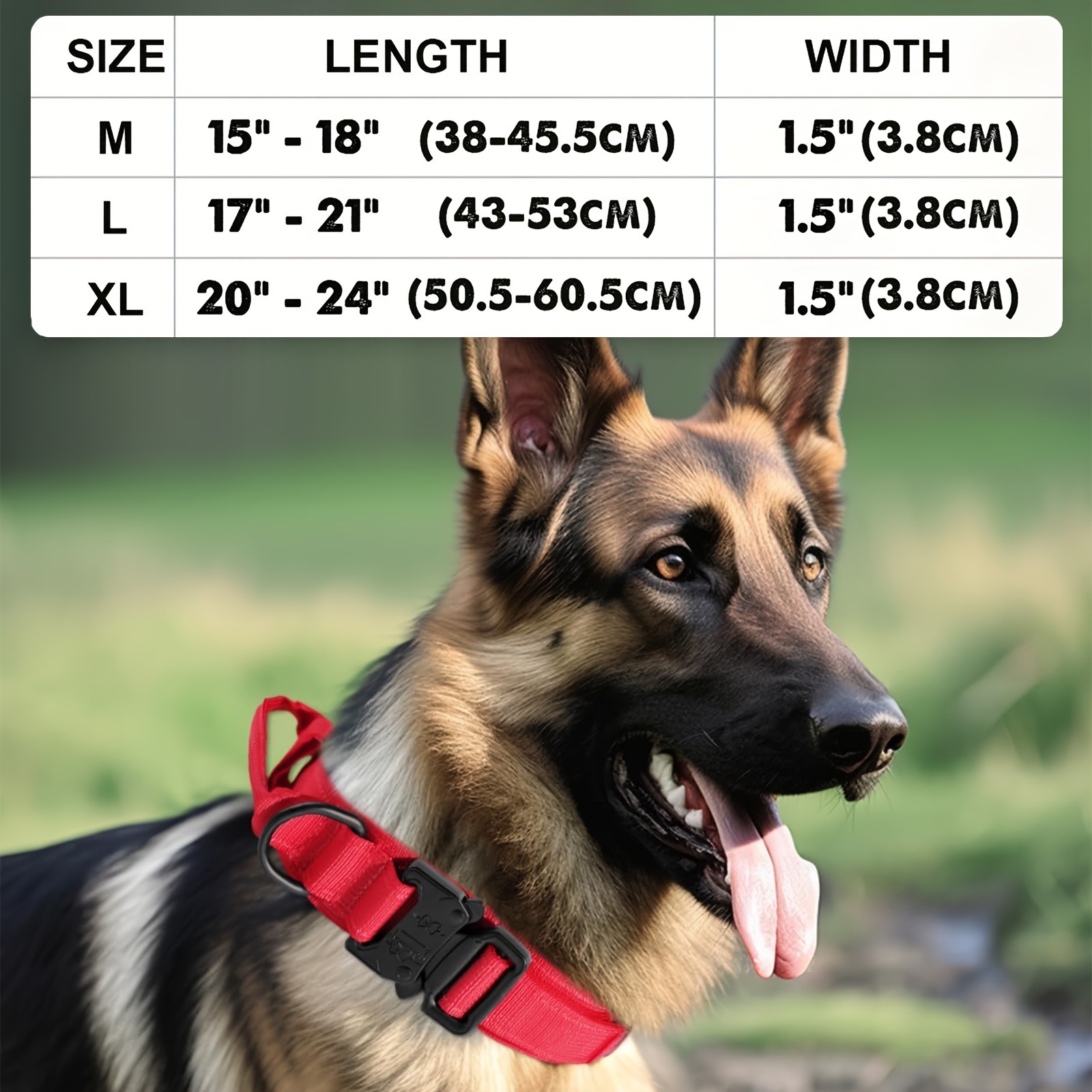 JOYTALE Heavy-Duty Dog Collar with Handle