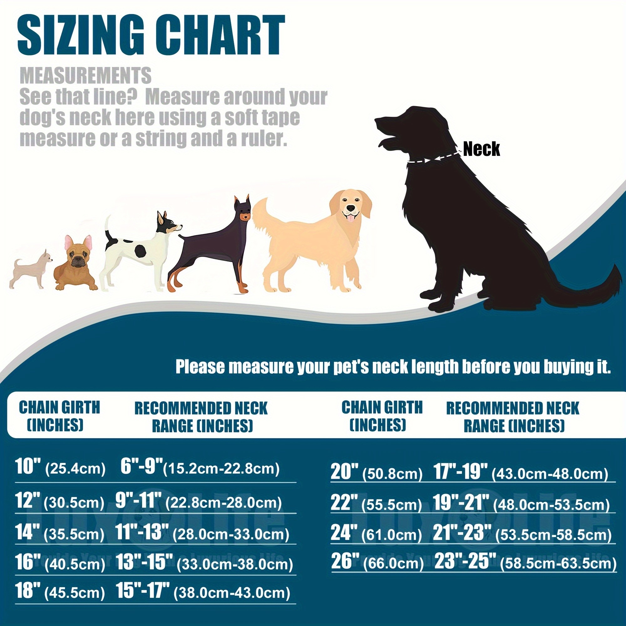 LuxLife 19mm Golden Dog Collar with Cuban Link Design