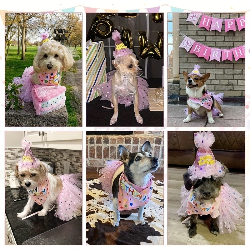 REALIKE Cute Pink Dress, Bandana, and Hat for Dog Birthday