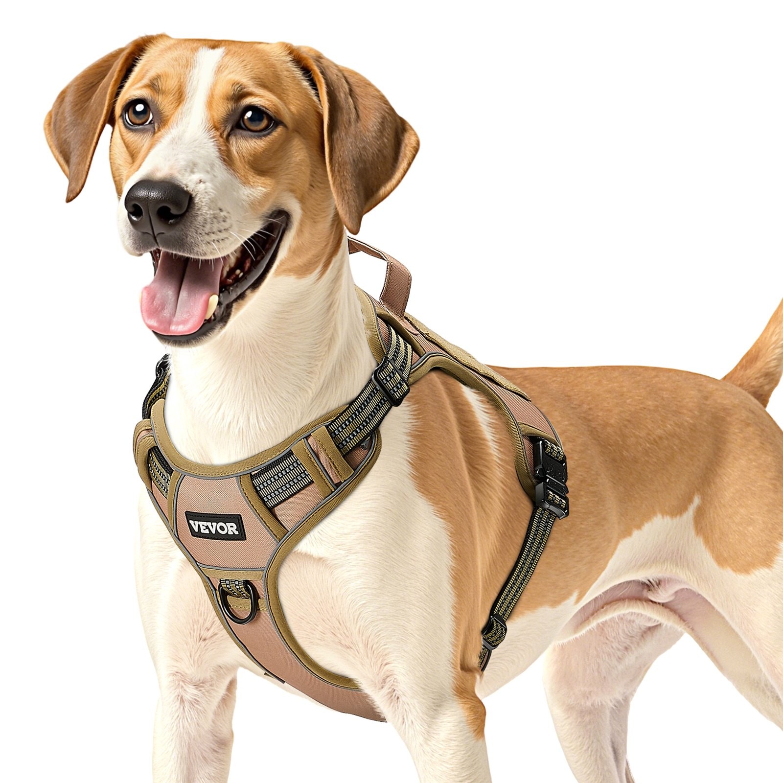 Dog Harness