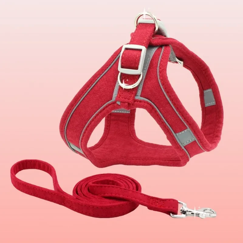 Cat Harness and Leash Set