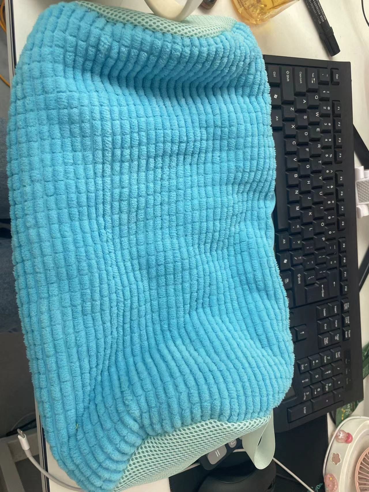 Shoe Washing Machine Bag