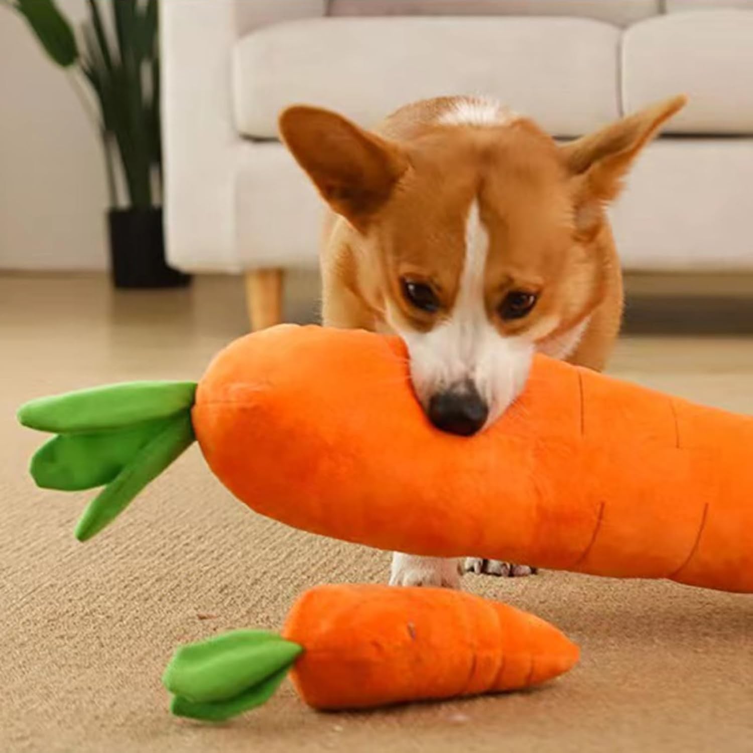 Dog Calming Carrot
