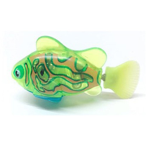 Cat Interactive Electric Fish Toy