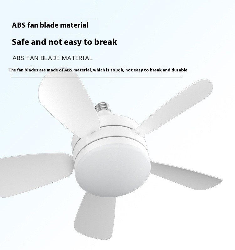 Socket Ceiling Fan Light