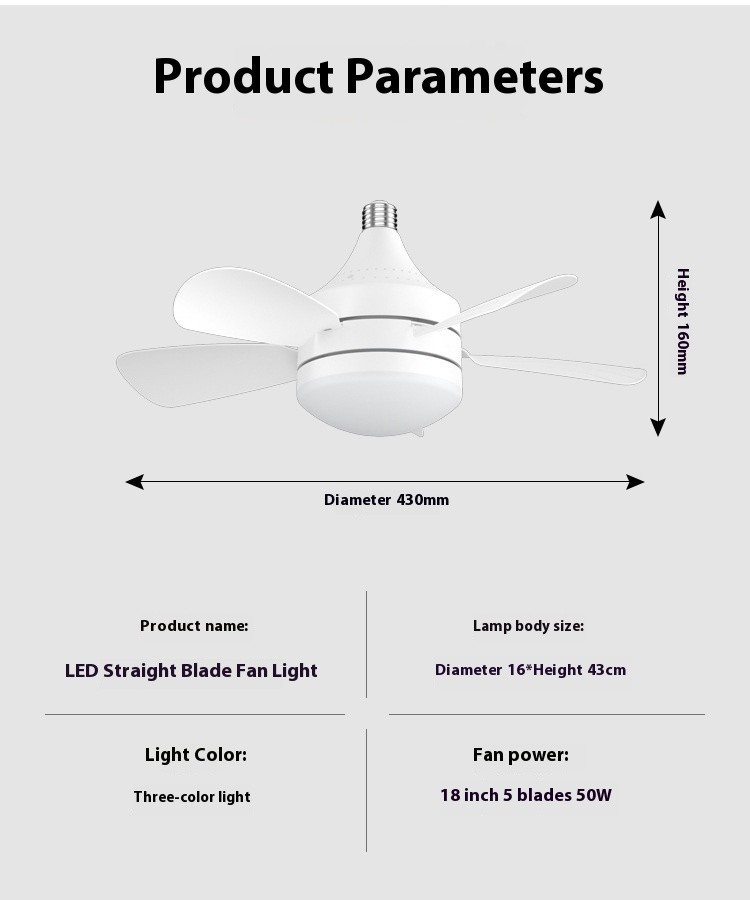 Socket Ceiling Fan Light