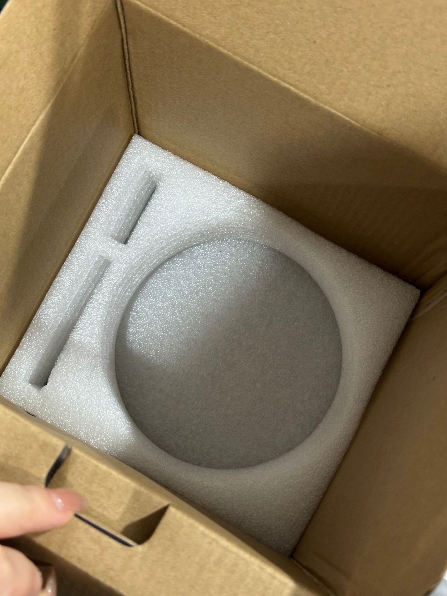 Socket Ceiling Fan Light