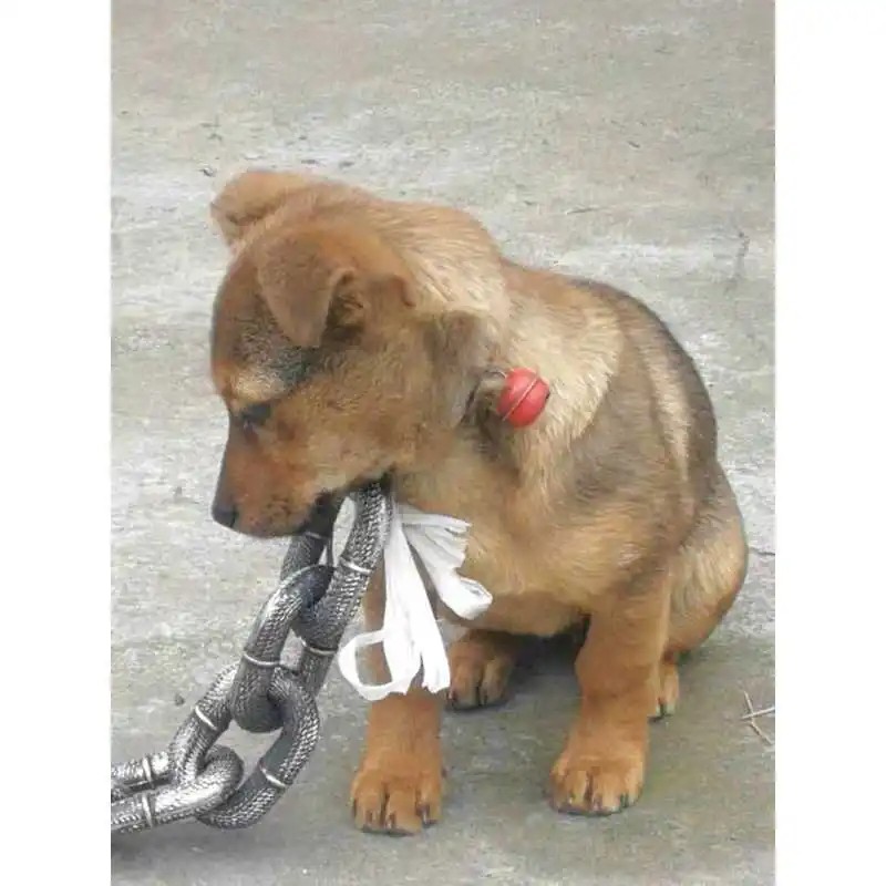 Big Fake Simulated Traction Chain Dog Leach