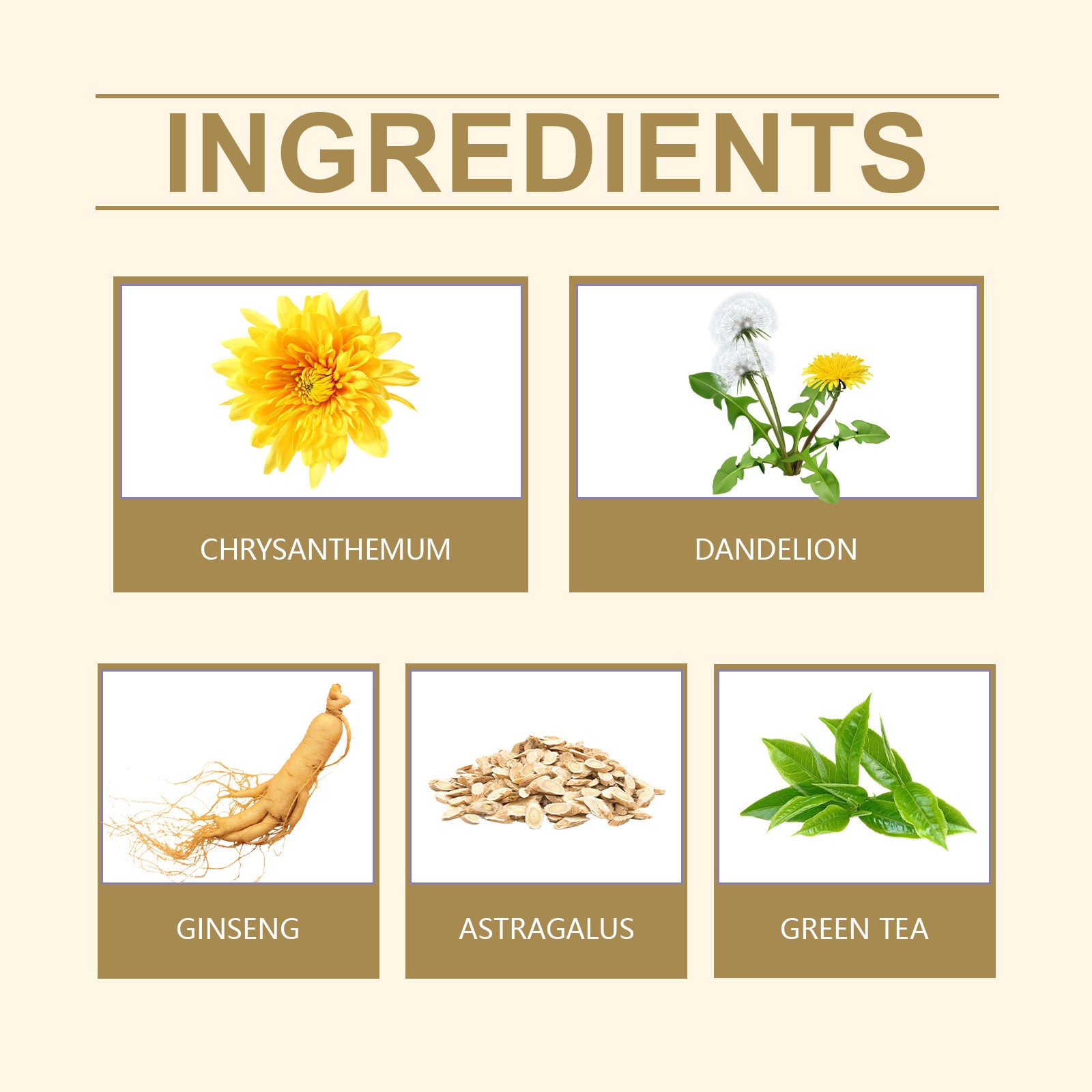 Prostate Health Herbal Tea Gentle Herbal Care for Mens Wellness