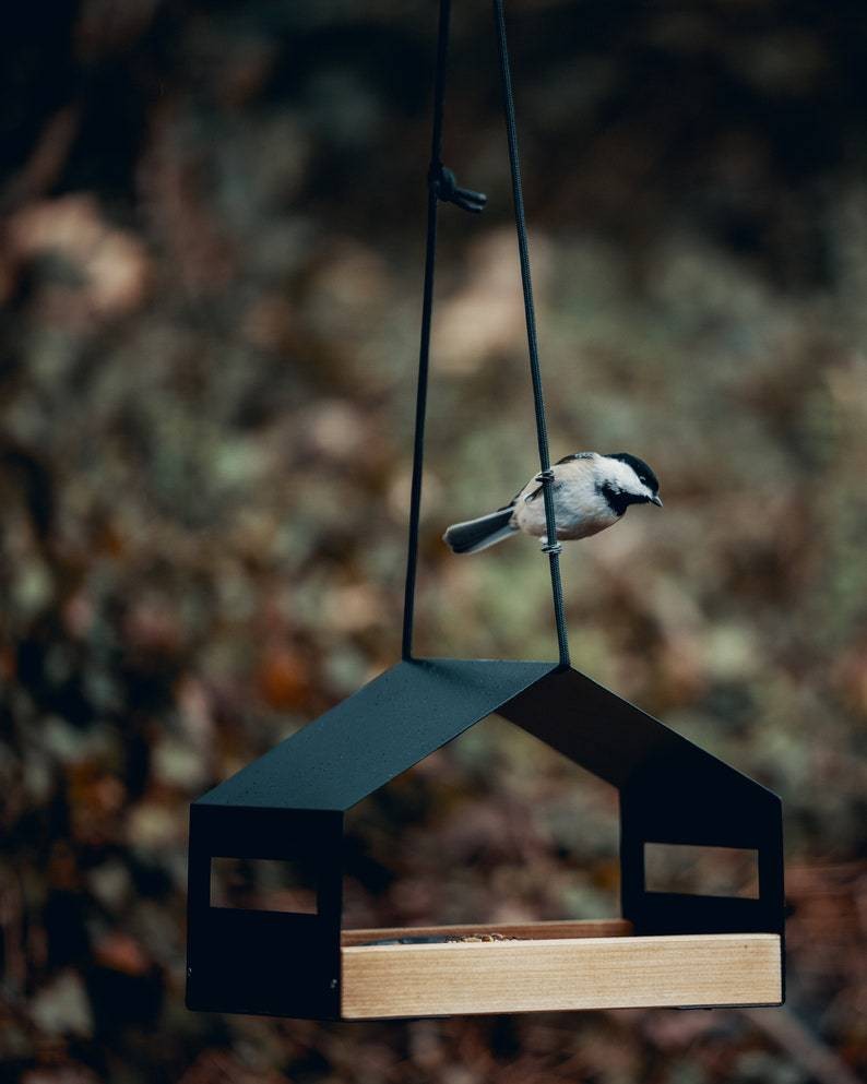 Hanging Bird Feeder for Garden with Roof