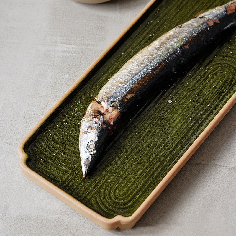 Household Sushi Dish