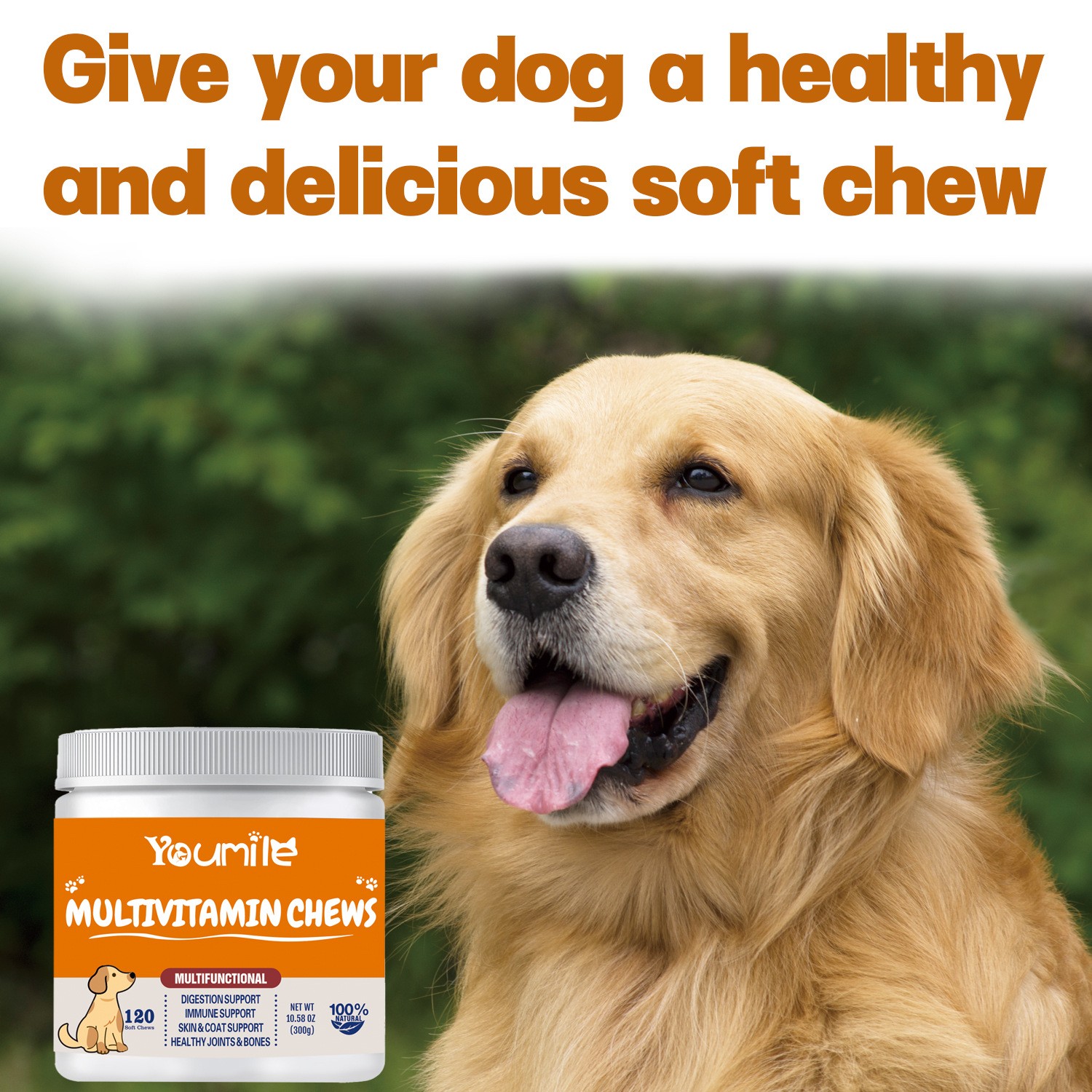 YourMite Multivitamin Chews Healthy, Delicious Soft Chews for Dogs