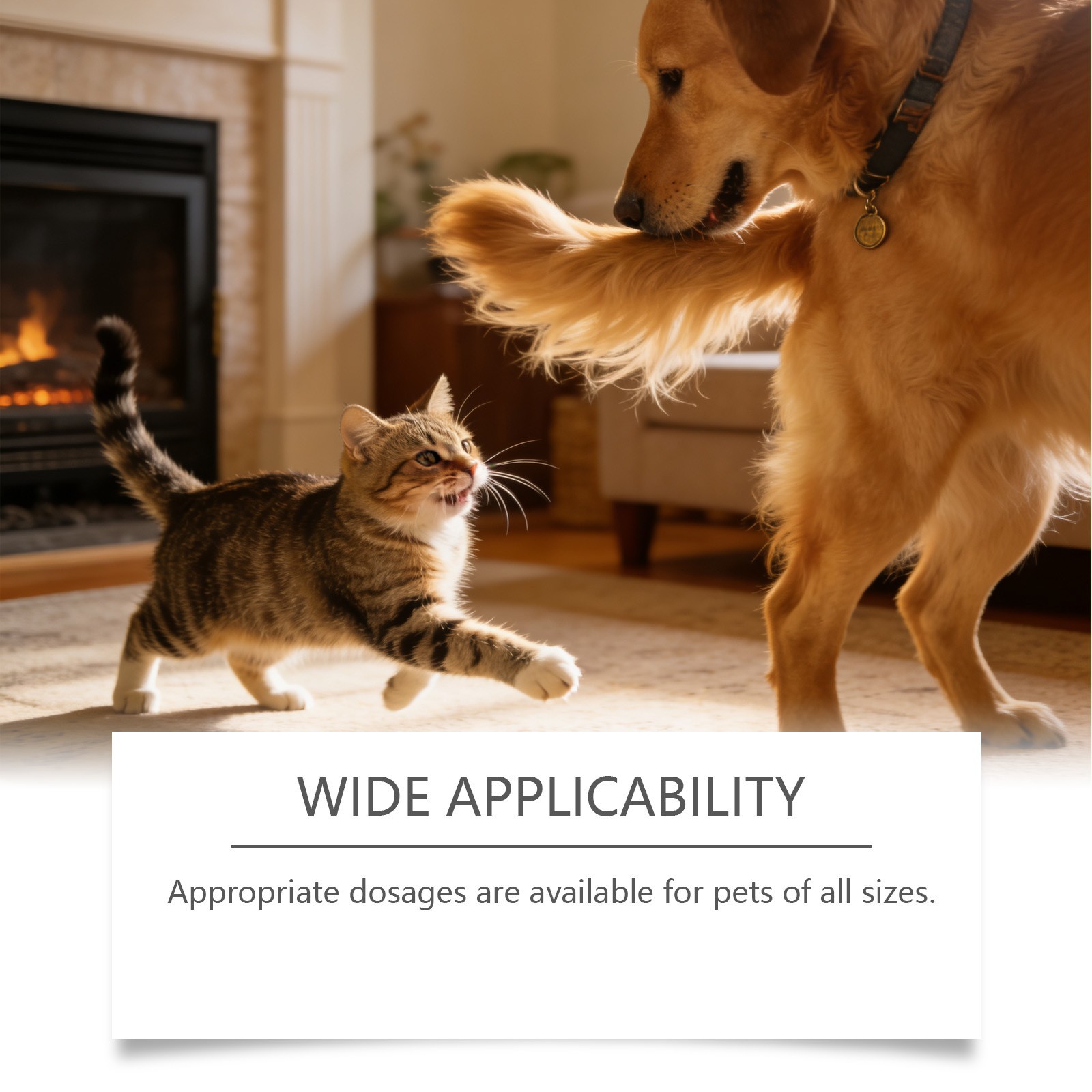 Dog Joint Health Supplement