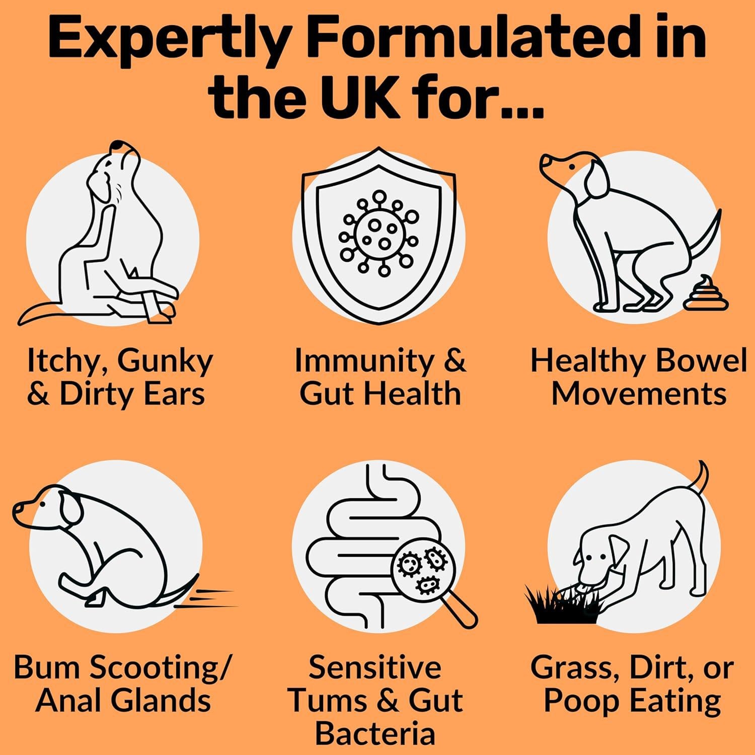 Pre, Pro & Post-Biotic Dog Treats