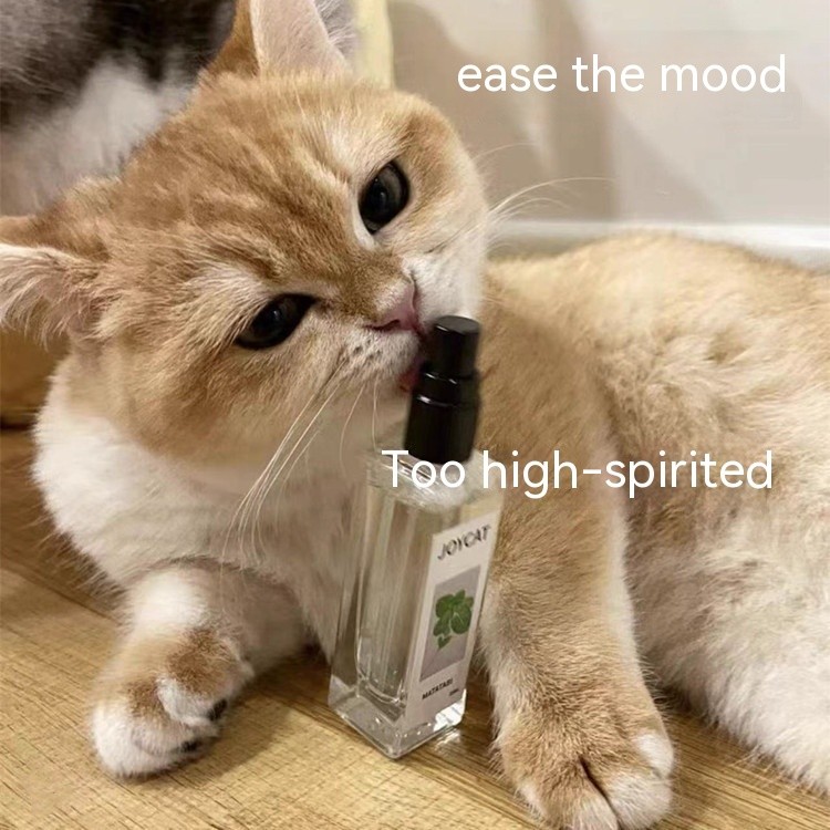 Herbal Cat Joy Spray