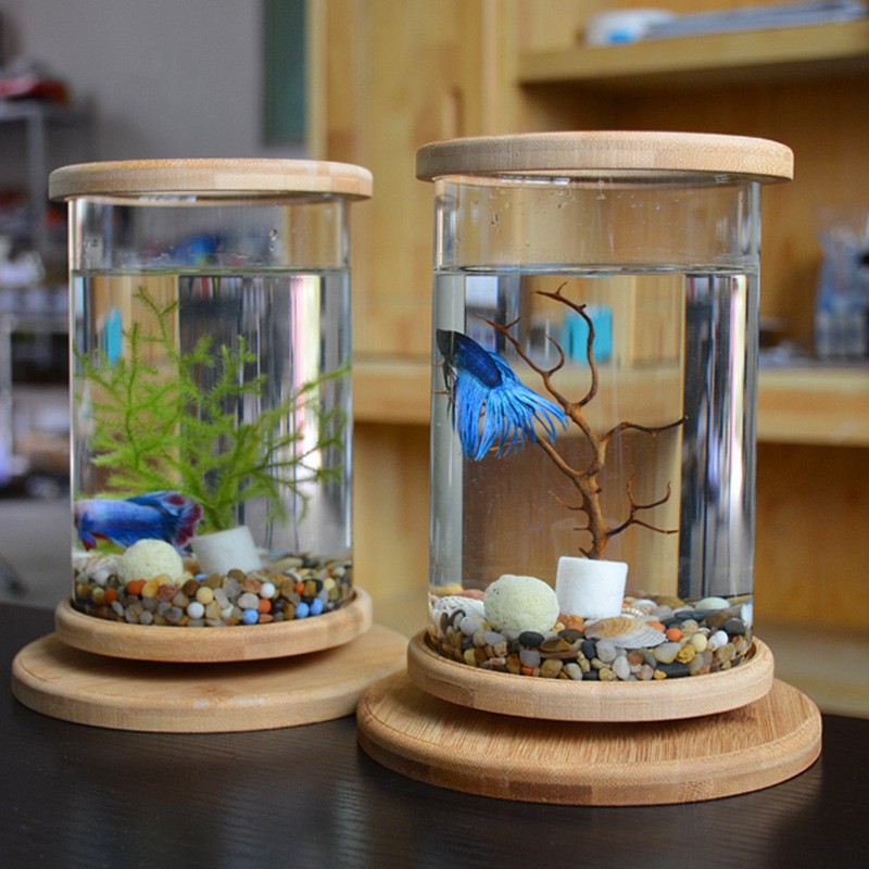Mini Fish Tank Decoration