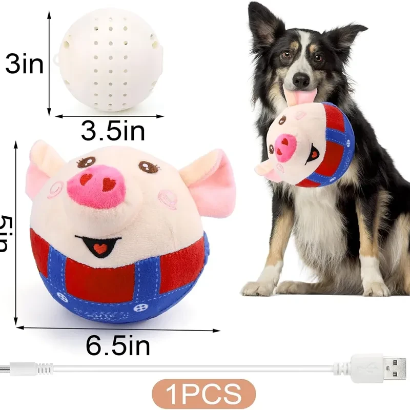 Bouncing Piggy