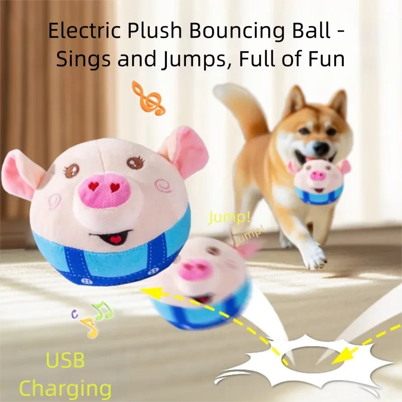 Bouncing Piggy