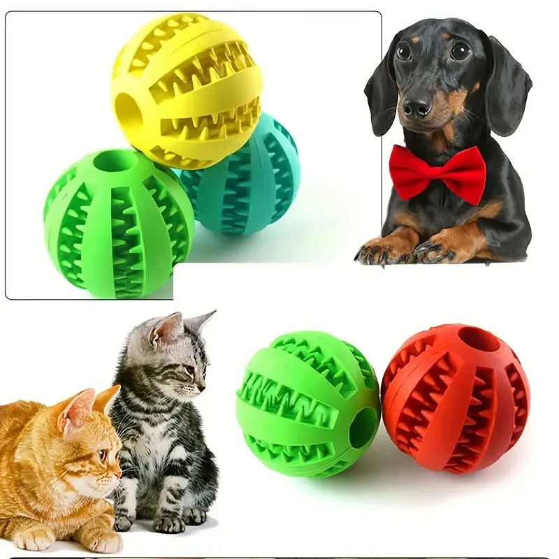 Interactive Molar Dog Toy
