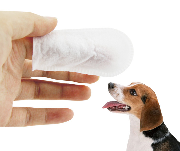Pet  Wipes for Pet Cleaning Teeth