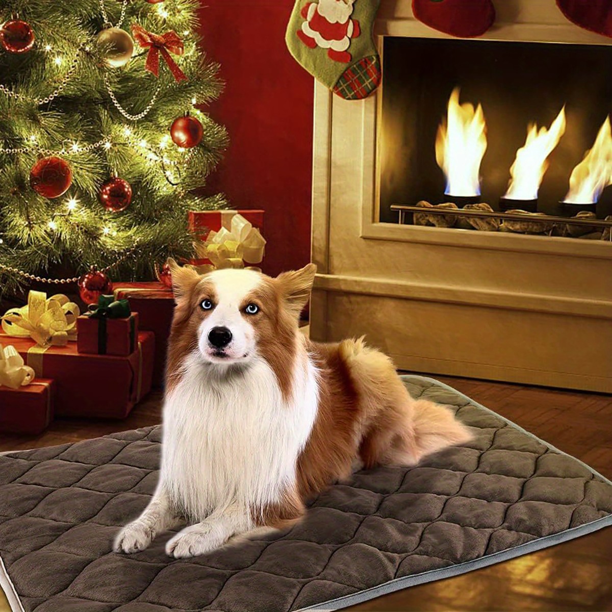 Pet Heating Pad NZ