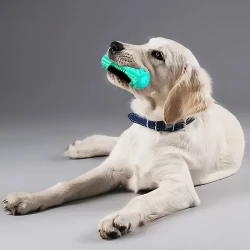 ProClean Dog Toothbrush  Gentle Molar Stick