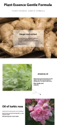 Body Massage Whole Body Essential Oil