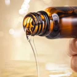 Rose Mugwort Ginger Oil Facial Body