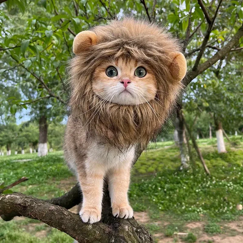 Adorable Lion Mane Costume for Cats Durable and Comfy